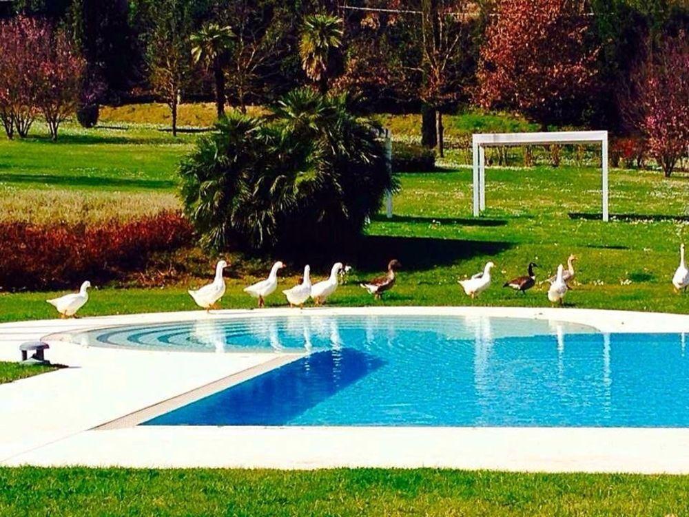 Agriturismo La Casa Di Rodo Quarrata Exterior photo